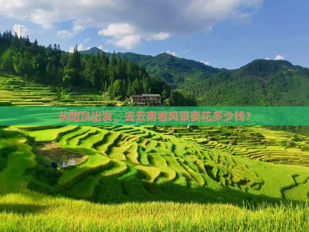 阳泉去云南门票
