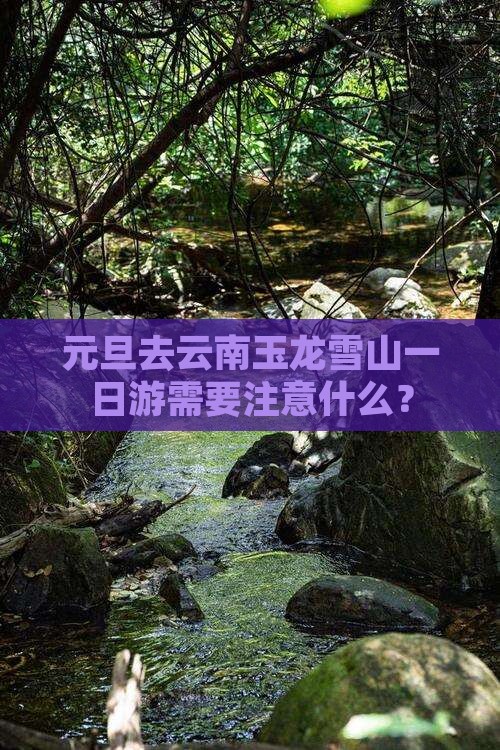 元旦到云南玉龙雪山一日