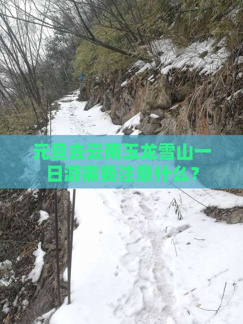 元旦到云南玉龙雪山一日