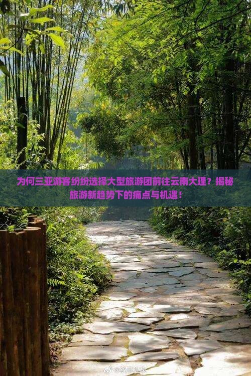 三亚去云南大理大型旅游团