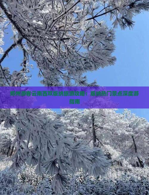 郑州到云南西双版纳哪里玩
