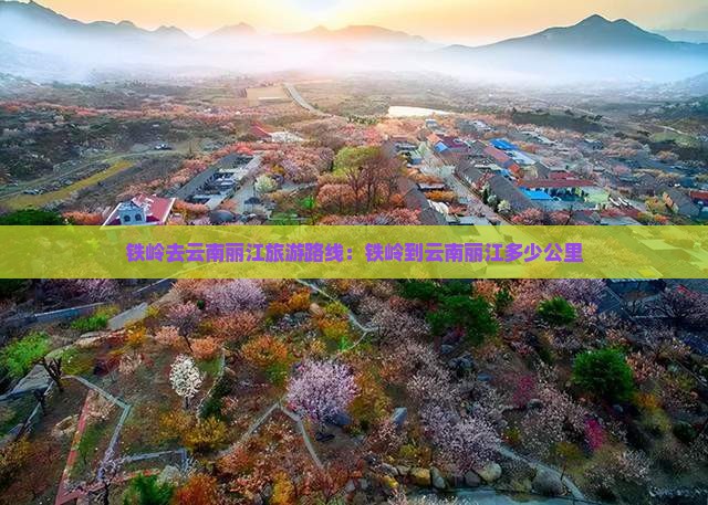 铁岭去云南丽江旅游