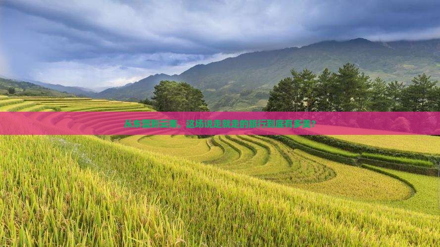 东营去云南旅游