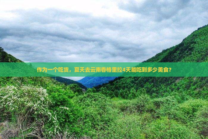 夏天到云南香格里拉四日游