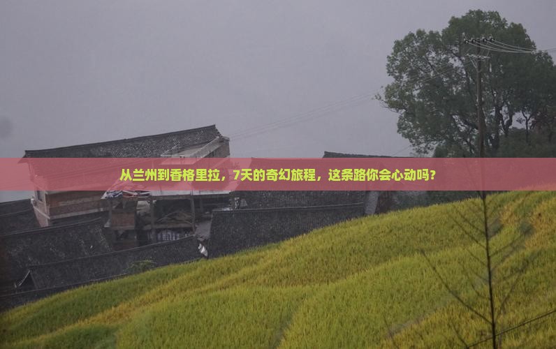 兰州去云南香格里拉七日游