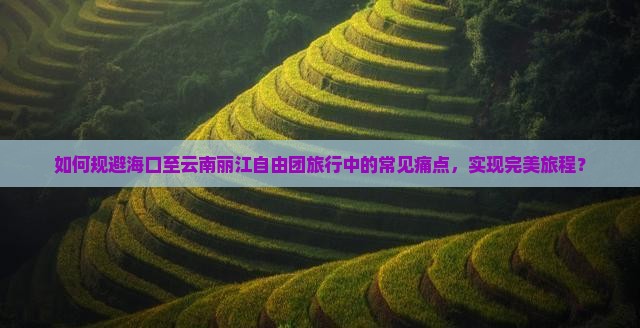 海口到云南丽江自由团