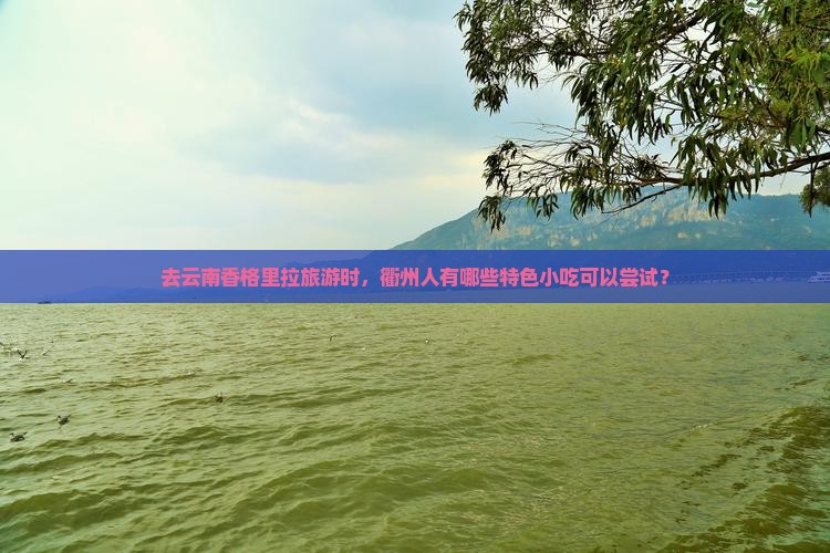 衢州去云南香格里拉旅游小吃
