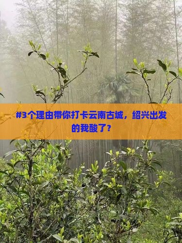 绍兴去云南古城必去地