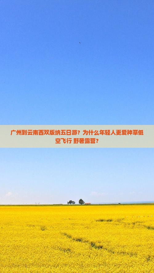 广州去云南西双版纳五日游