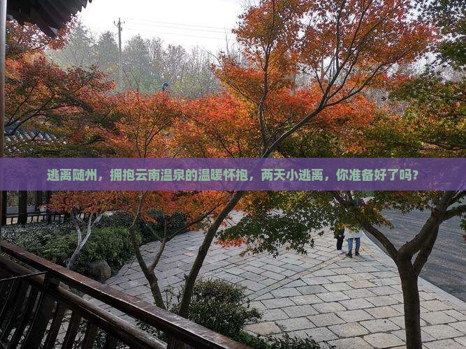 随州去云南温泉二日游