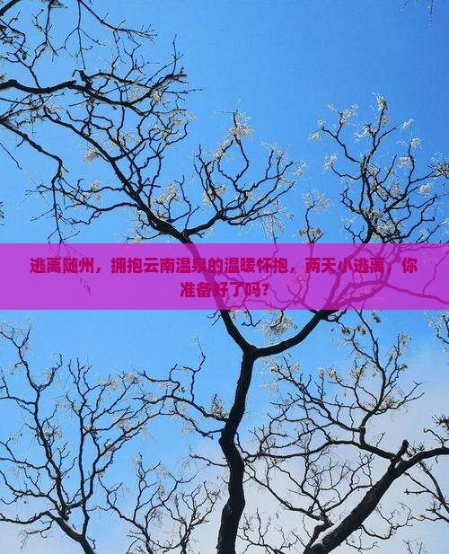 随州去云南温泉二日游
