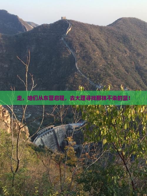 东营去云南大理旅行社