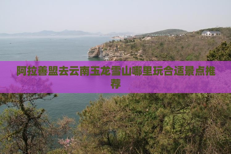 阿拉善盟去云南玉龙雪山哪里玩