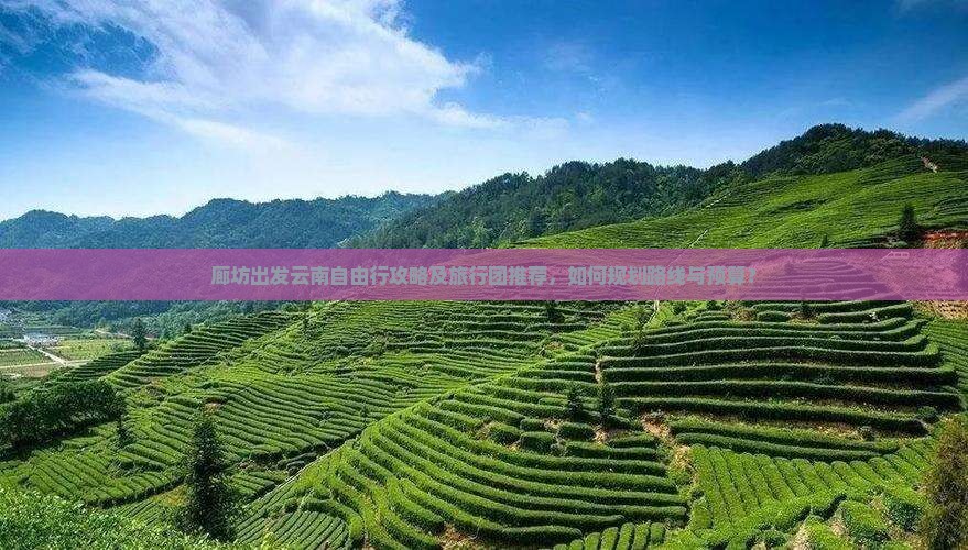 廊坊到云南自由团