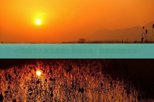 阿拉尔到云南玉龙雪山旅行社 阿拉尔到云南玉龙雪山旅行社