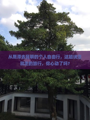 鹰潭到云南昆明个人游