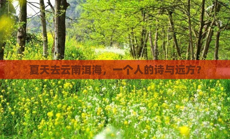 夏天到云南洱海个人游