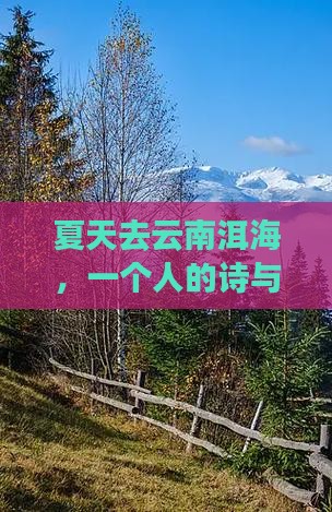 夏天到云南洱海个人游