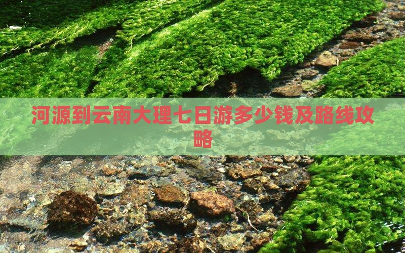 河源到云南大理七日游