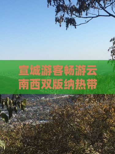 宣城去云南西双版纳团体旅游