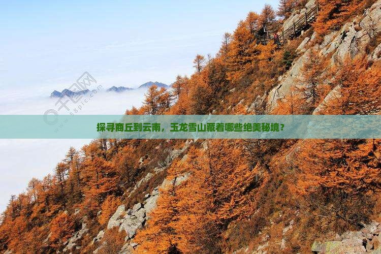 商丘到云南玉龙雪山必去地