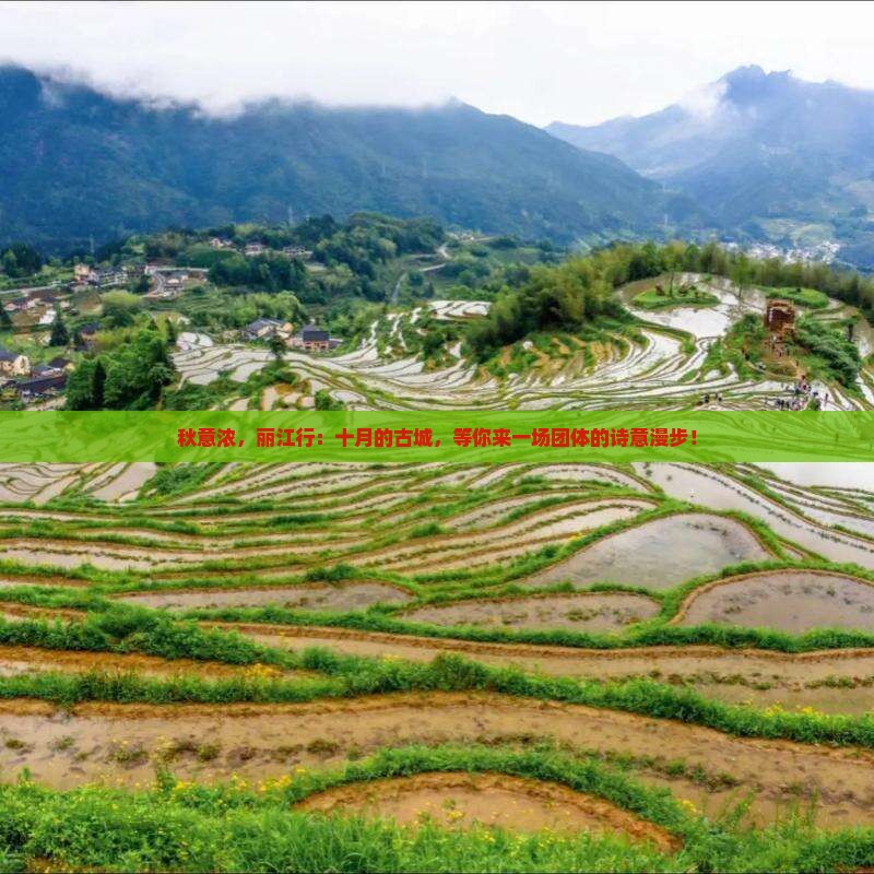 十月到云南丽江团体旅游