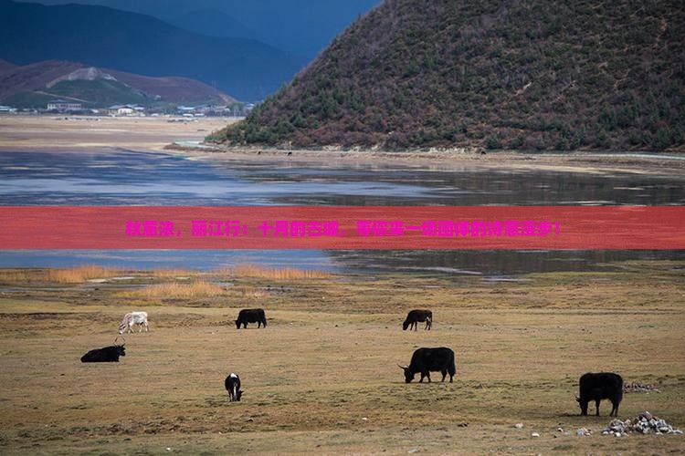 十月到云南丽江团体旅游