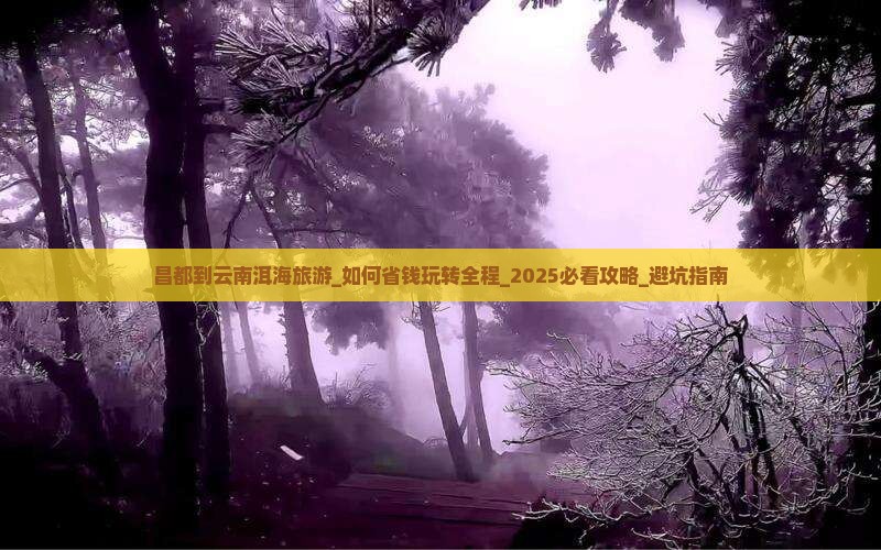 昌都到云南洱海旅游