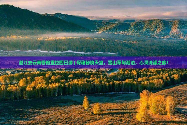 湛江去云南香格里拉四日游
