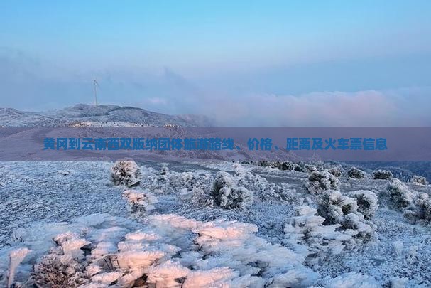 黄冈到云南西双版纳团体旅游