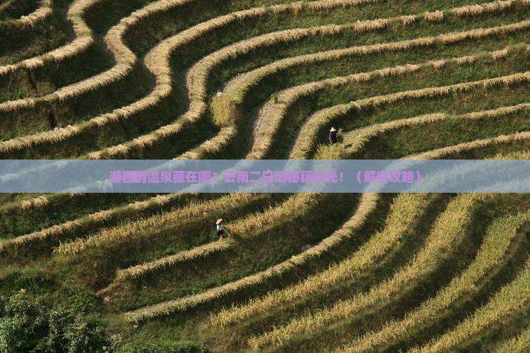 湘西到云南温泉二日游