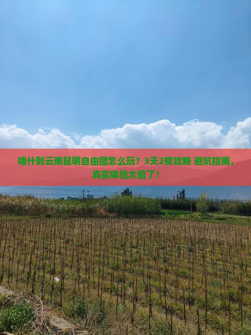 喀什到云南昆明自由团