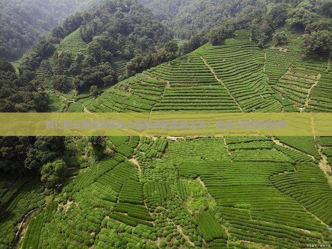 铜仁到云南西双版纳大型旅游团