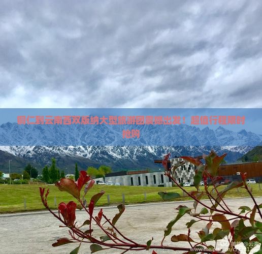 铜仁到云南西双版纳大型旅游团