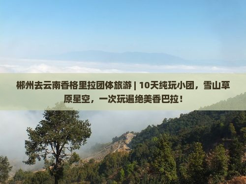 郴州去云南香格里拉团体旅游