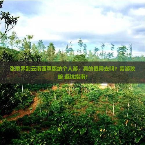 张家界到云南西双版纳个人游