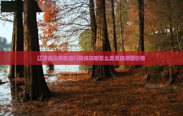辽源去云南自由行