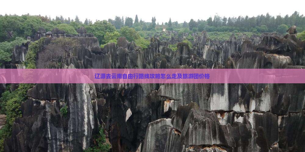 辽源去云南自由行