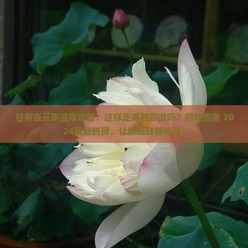 甘南去云南温泉攻略