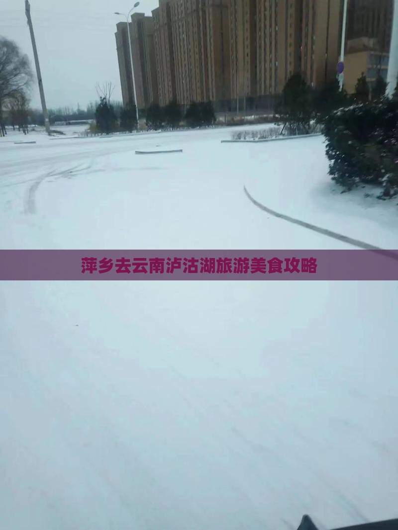 萍乡去云南泸沽湖旅游小吃