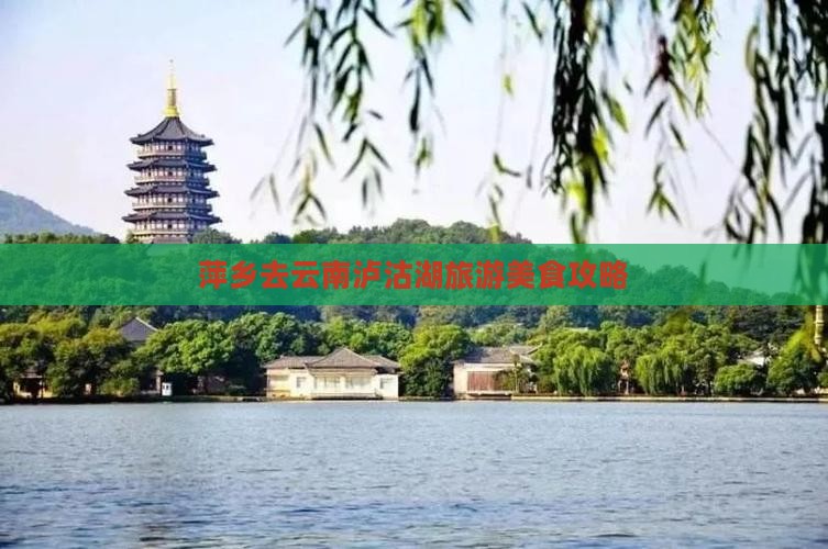 萍乡去云南泸沽湖旅游小吃