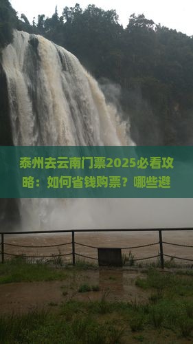 泰州去云南门票