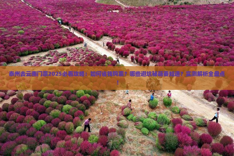 泰州去云南门票