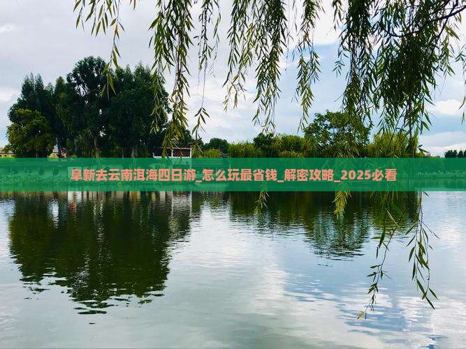 阜新去云南洱海四日游