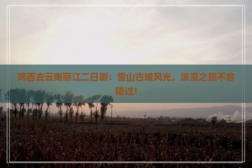 鸡西去云南丽江二日游
