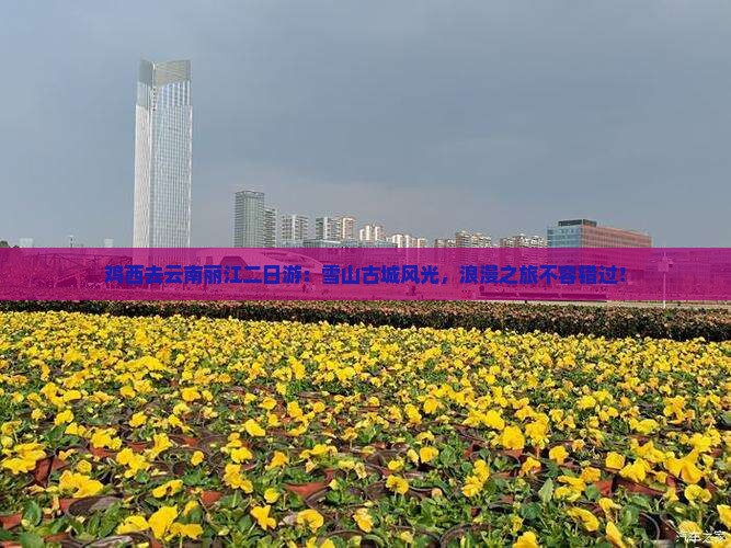鸡西去云南丽江二日游