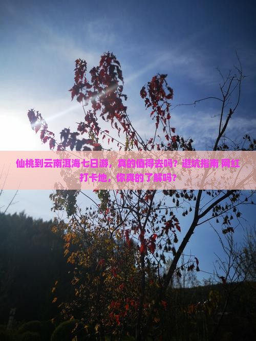 仙桃到云南洱海七日游