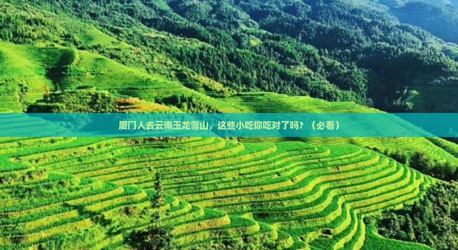 厦门去云南玉龙雪山旅游小吃