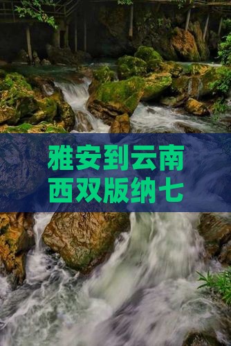 雅安到云南西双版纳七日游