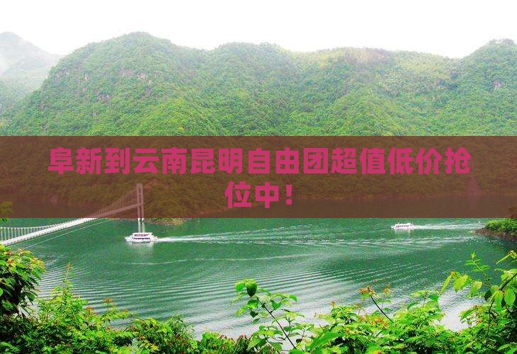 阜新到云南昆明自由团